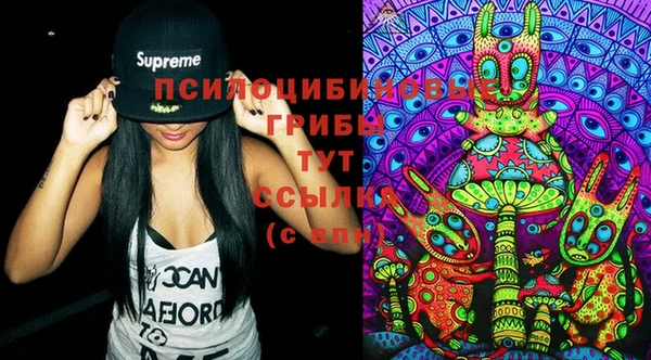 Альфа ПВП Елабуга