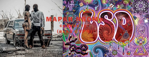 Альфа ПВП Елабуга